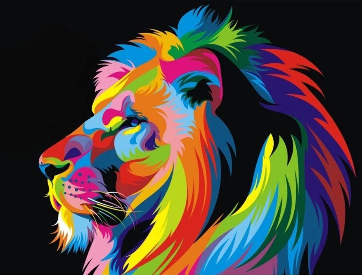 Diamond Painting - Kleurrijke - 50x40 cm von Toi-Toys in Leeuw – Produktfoto