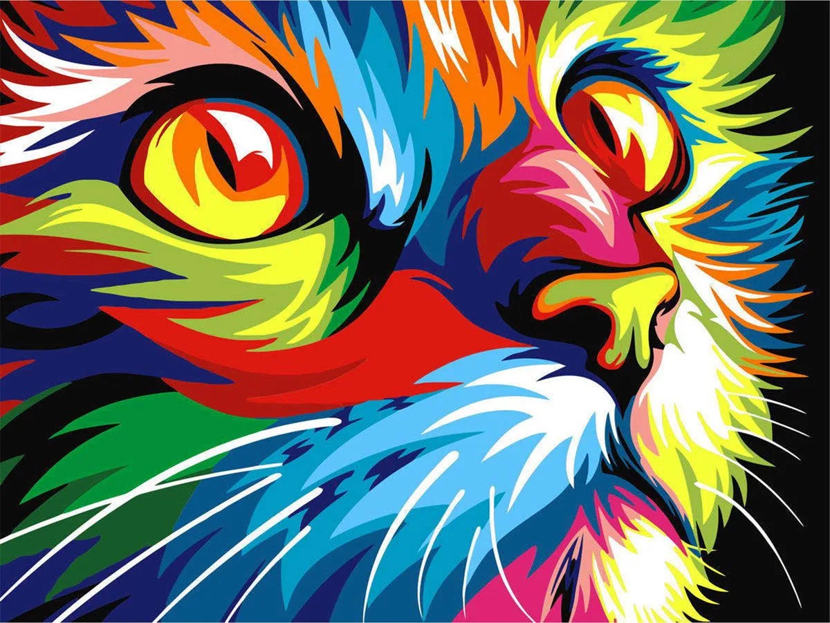 Diamond Painting - Kleurrijke Kat - 50x40 cm fra Toi-Toys i Flerfarvet – produktbillede