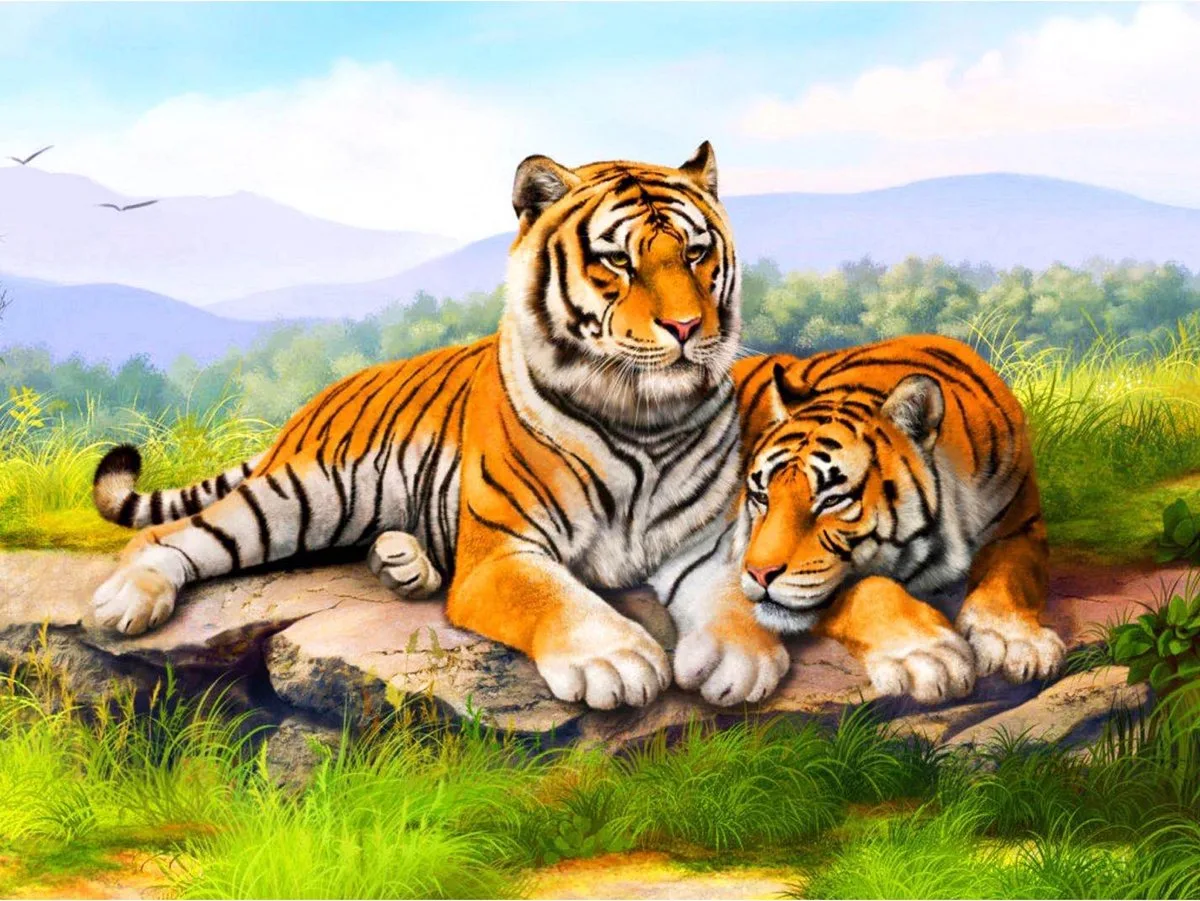 Diamond Painting Tijger 40 X 50 Cm från Toi-Toys i Flerfärgad – produktbild
