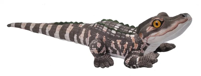 baby alligator knuffel - pluche - 50 cm - knuffeldier - reptielen - krokodillen by Wild Republic in Dark green – product photo